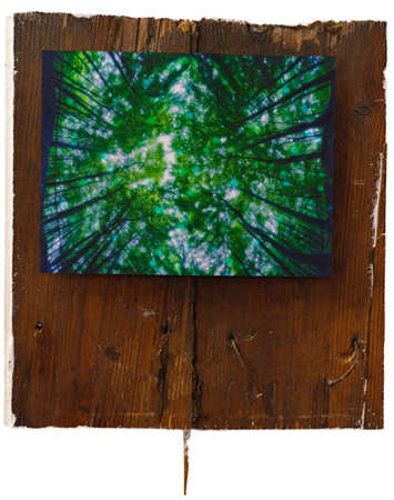 puss - virtuallyANALog 14x18x3“ 36x46x8 puss - virtuallyANALog 14x18x3“ 36x46x8